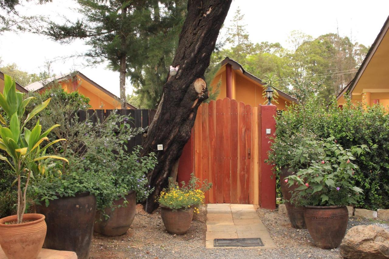 Hotel Le Rustique Nanyuki Zewnętrze zdjęcie